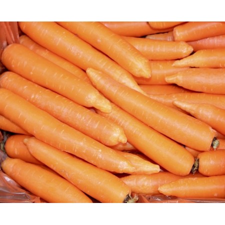 CAROTE SFUSE FRESCHE